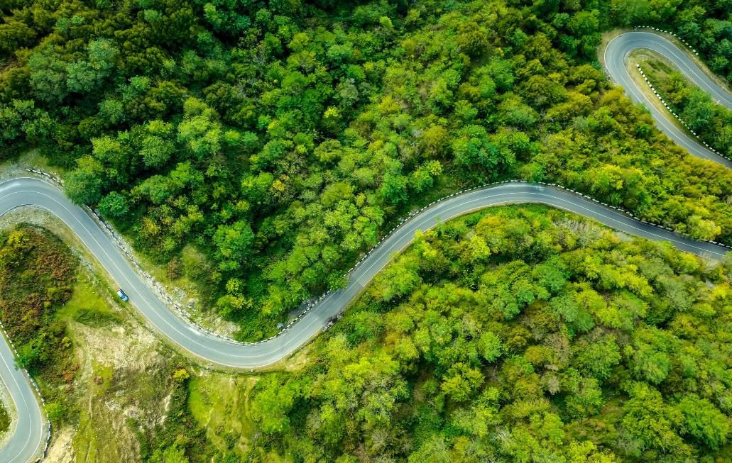 Aerial view with vehicle driving on highway road in green forest