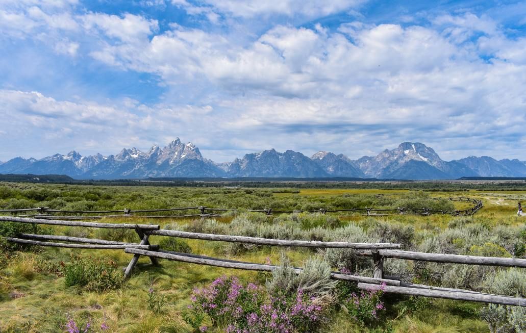 Grand Teton National Park near Jackson Hole, Wyoming USA